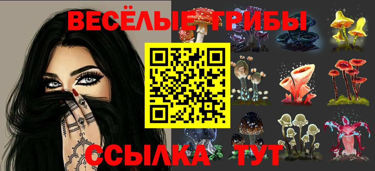 Псилоцибиновые грибы мицелий  Псилоцибиновые грибы Cubensis  Вход с VPN  Ноябрьск 